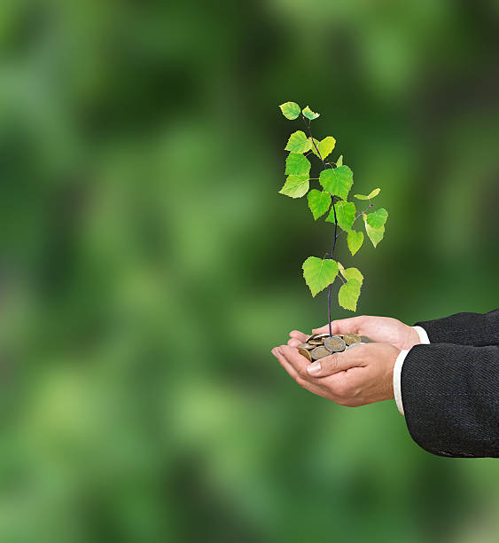 istock Investing to green business 512128061