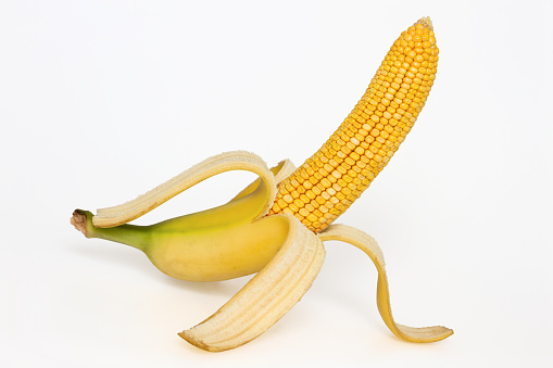 Photo manipulation: corn cob with banana skin