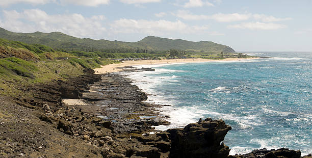 istock Hawaii lava rock shore panorama 512129813