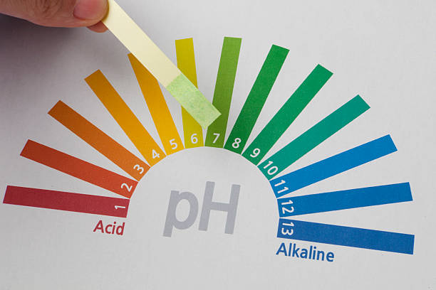 ph paper test ph paper test alkaline stock pictures, royalty-free photos & images