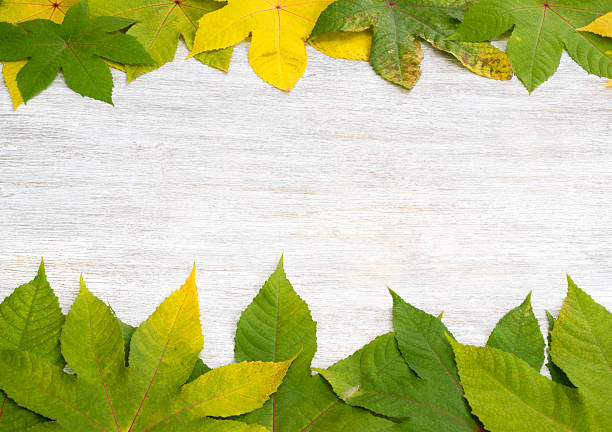 Hintergrund für den Herbst Vorstellungen – Foto