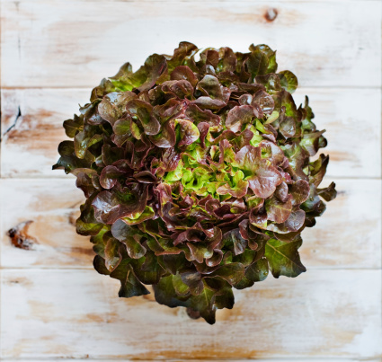 Oak leaf lettuce on a rustic wooden table.