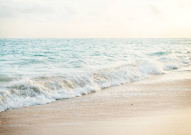 istock sunrise over the Atlantic,sandy beach and the sea. 512143146