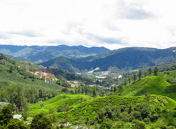 istock Landscape panorama view of field on mountain 512144990