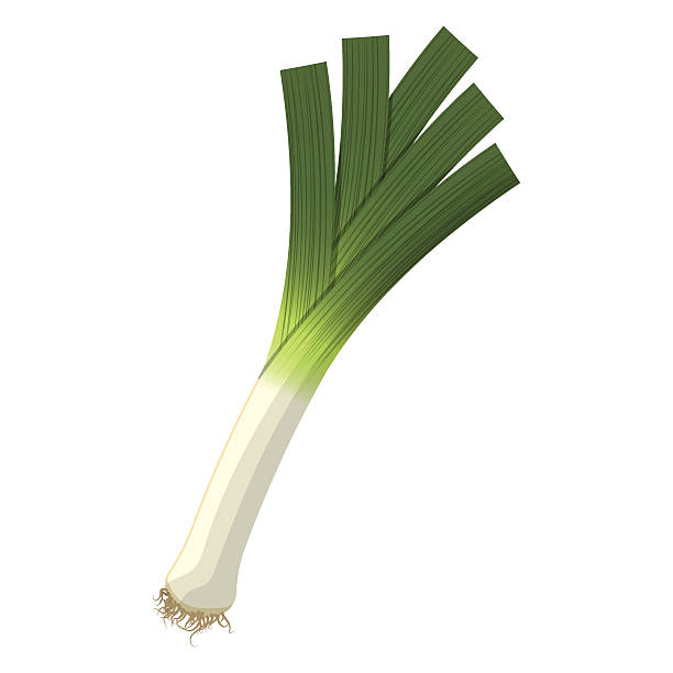 5,400+ Leeks Stock Illustrations, Royalty-Free Vector Graphics