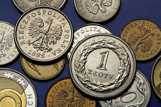 istock Coins of Poland 512150965