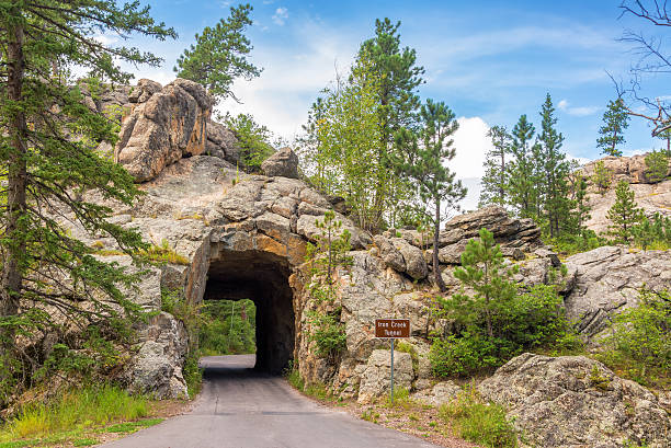 Iron Creek Tunnel Iron Creek Tunnel in Custer State Park custer state park stock pictures, royalty-free photos & images