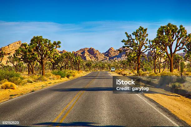 Joshua Tree National Park Stock Photo - Download Image Now - American Culture, Arid Climate, Barren