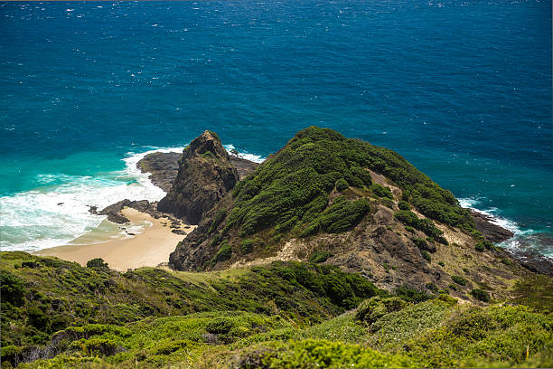 istock New Zealand Coutryside 512152970