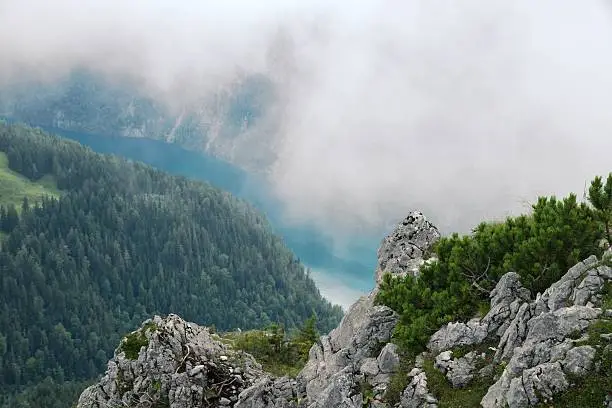 Beautiful foggy view on the Koenigssee and forest  from Jenner mountain, a peak in Berchtesgaden, Germany