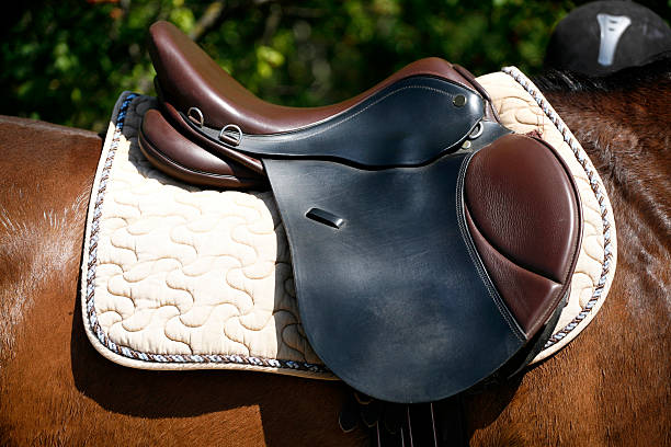 istock Saddle on a back of a horse 512153832