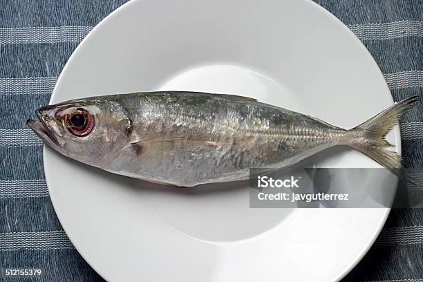 Sardine In Plate Stock Photo - Download Image Now - Animal, Animal Fin, Aquaculture