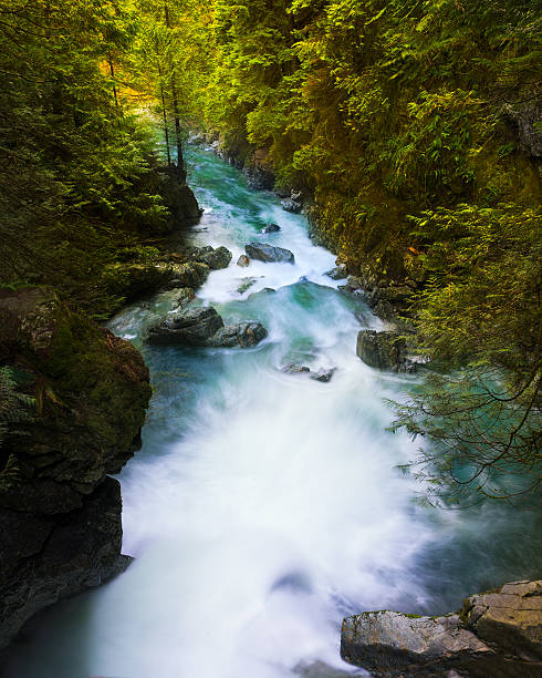 istock Lynn Creek in Vancouver, BC 512155494