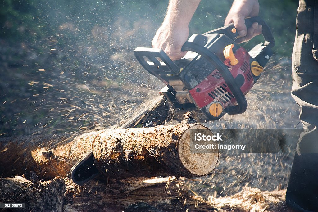 Chain saw Man with the chain saw in the forest Chainsaw Stock Photo