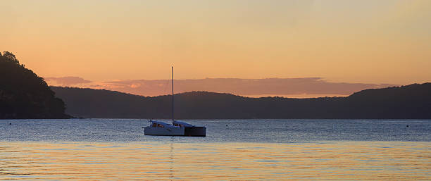 istock Sundown Palm Beach, Sydney Australia 512155943