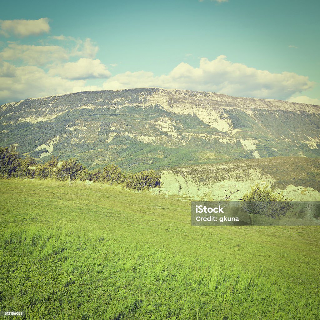 Meadow Sunny Meadow in the French Alps, Retro Effect Agricultural Field Stock Photo