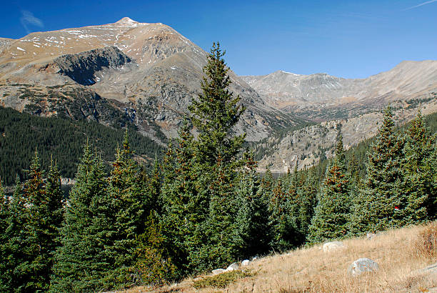 istock Hoosier Pass Colorado in Summer 512156264