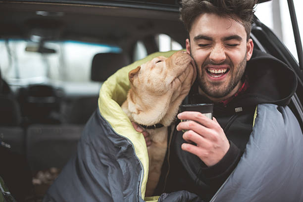 愛を表示 - pets stroking licking love ストックフォトと画像