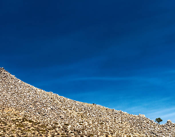 Nature Background - Rocky Mountain Sky & Small Juniper Tree