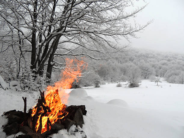 Fire In The Winter Forest stock photo