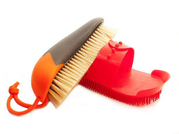 istock brush with natural bristle and comb isolated 512158221