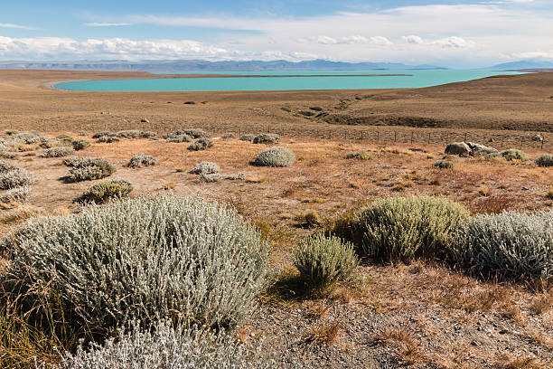 steppe around Argentino lake in Patagonia, Argentina