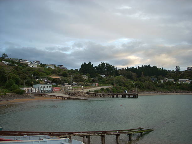 istock Jettys in Rural New Zealand 512161802