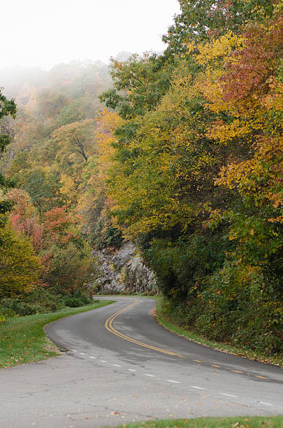 istock Early Morning Fog on Mountain Road 512161896