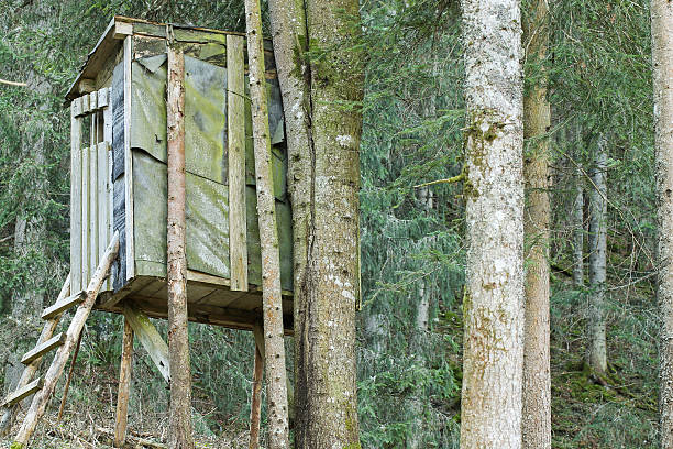 istock Elevated wooden platform known as Tree stand or Deer stand 512163360