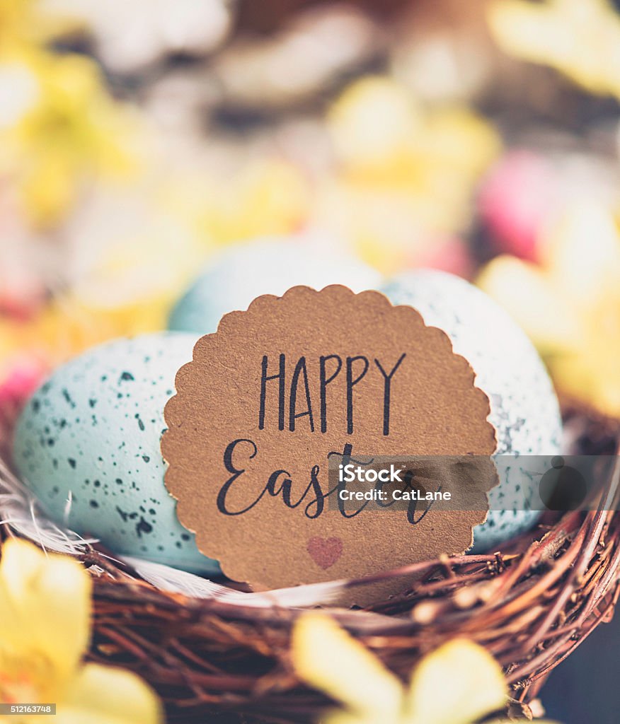 Easter eggs in nest with defocused blossoms Easter Stock Photo