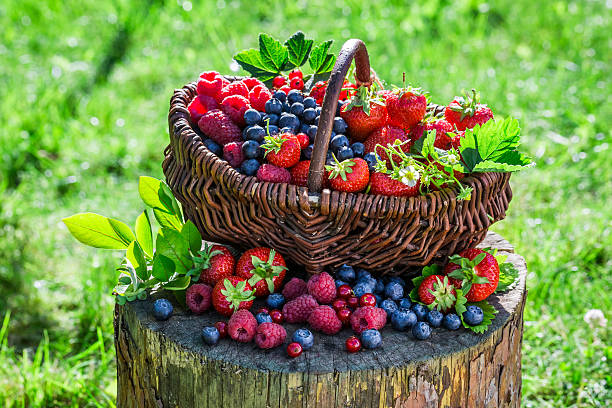 istock Ripe berry fruits in basket 512163822