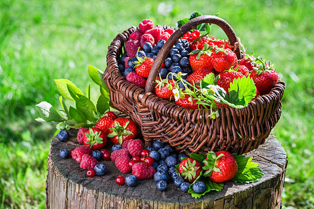 istock Fresh berry fruits in basket 512164130