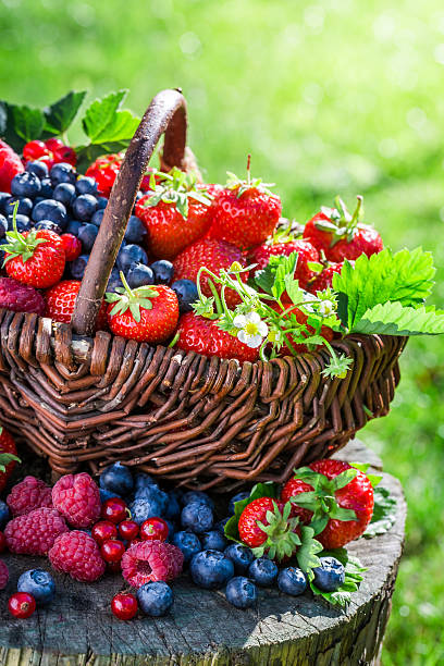 istock Fresh berry fruits in sunny day 512164278