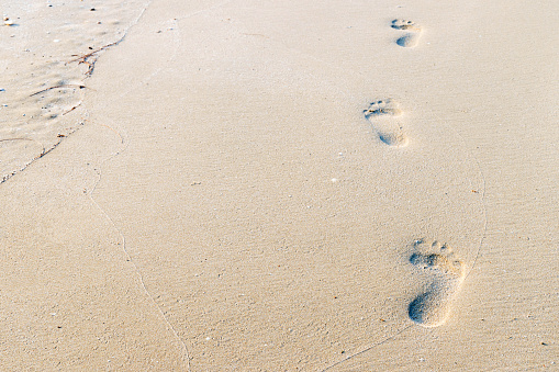 footprints on the beach for background