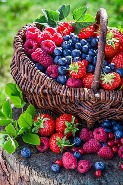 istock Healthy berries in garden 512164536