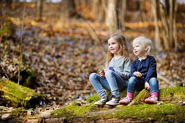 istock Two sisters picking the first flowers of spring 512164762