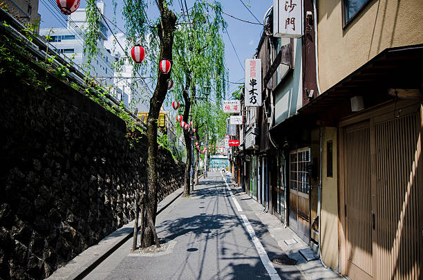 istock Alley in Japan 512165374