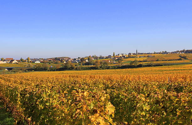 Countryside France stock photo