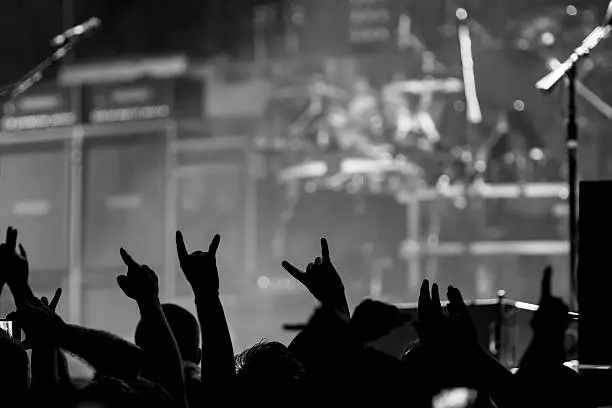 Bunch of fans happy during a concert throwing up the devil horns