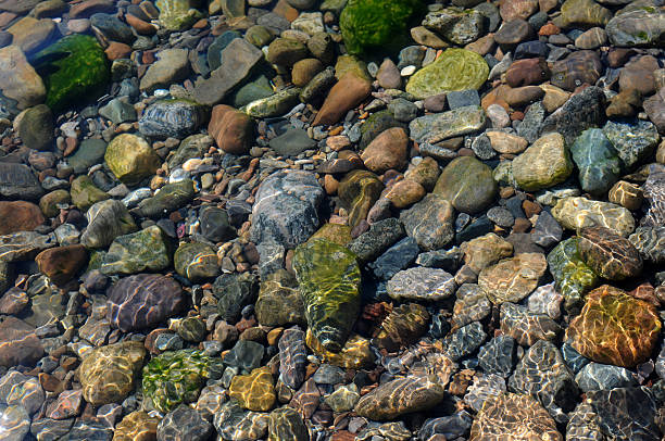 istock pebbles in a stream of water 512171172