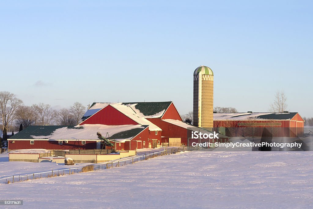 Rot Farm Barns im Winter - Lizenzfrei Agrarbetrieb Stock-Foto