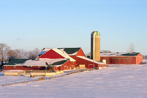 red farm barns en hiver - wellington ontario photos et images de collection