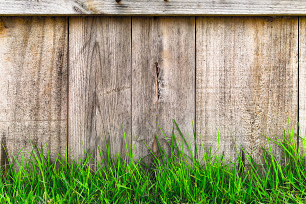 istock green grass over wood fence background 512171638