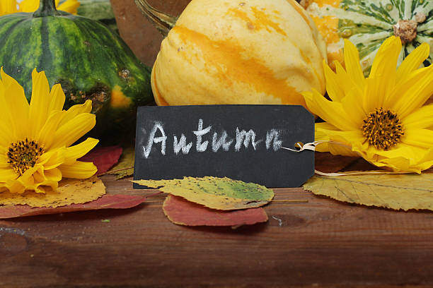istock Autumn pumpkins with leaves on wooden table 512171907