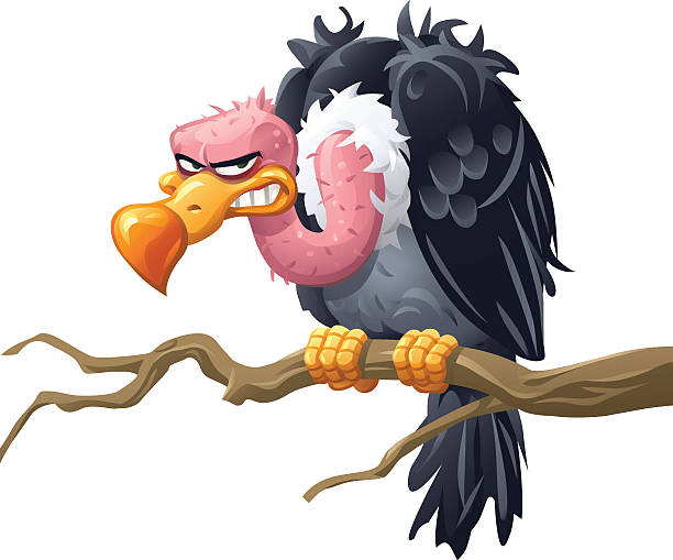 Vulture Sitting On A Branch Illustration of a smirking vulture sitting on a branch looking at the camera. vulture stock illustrations
