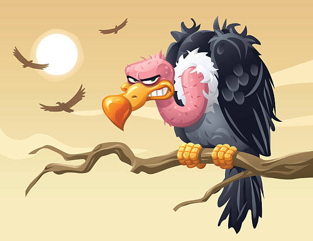 Vultures Illustration of a smirking vulture sitting on a branch looking at the camera. In the background three vultures are flying in the sky observing their surroundings for food. vulture stock illustrations
