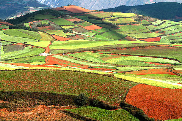 This is Dongchuan red land near Kunming , China With various crop colors