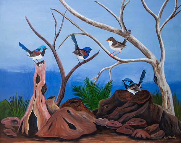 istock Native Australian Fairy Wren birds 512172874