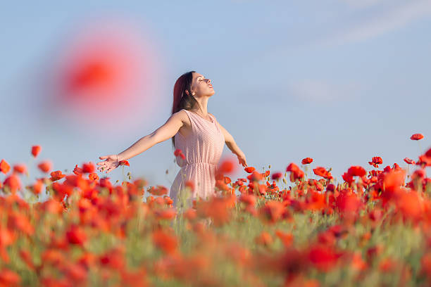 istock Girl at blooming poppy field 512172902