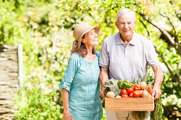 istock Happy Senior Couple With Harvested Vegetables In Crate 512173383